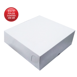 R10 TP POLOS COATED 350 